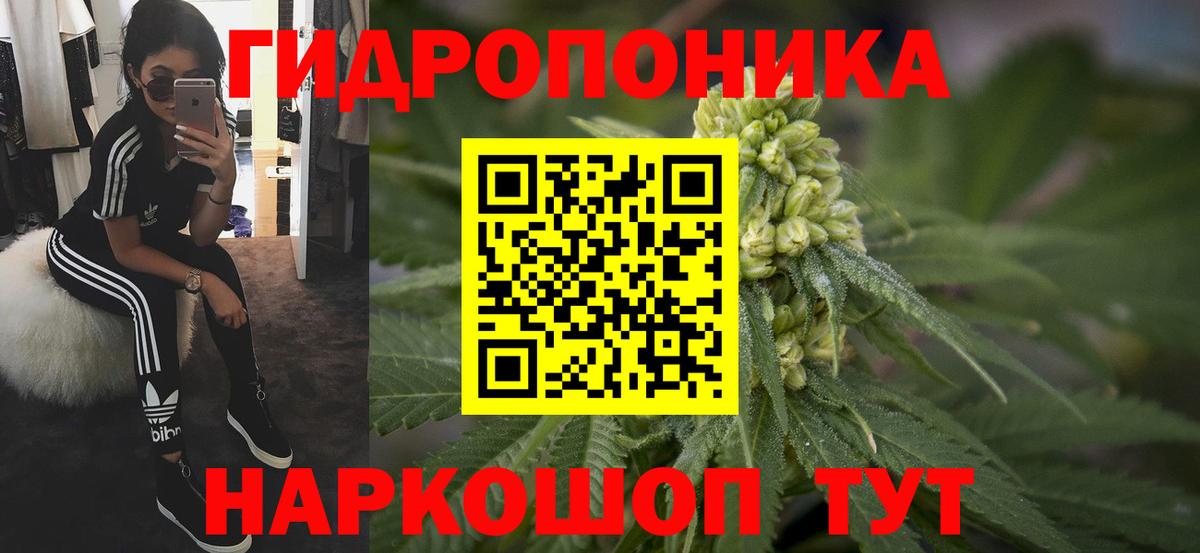 Шишки марихуана OG Kush  Шишки марихуана сатива  Шишки марихуана планчик  Шишки марихуана тримм  Вход с VPN  Сосновый Бор 