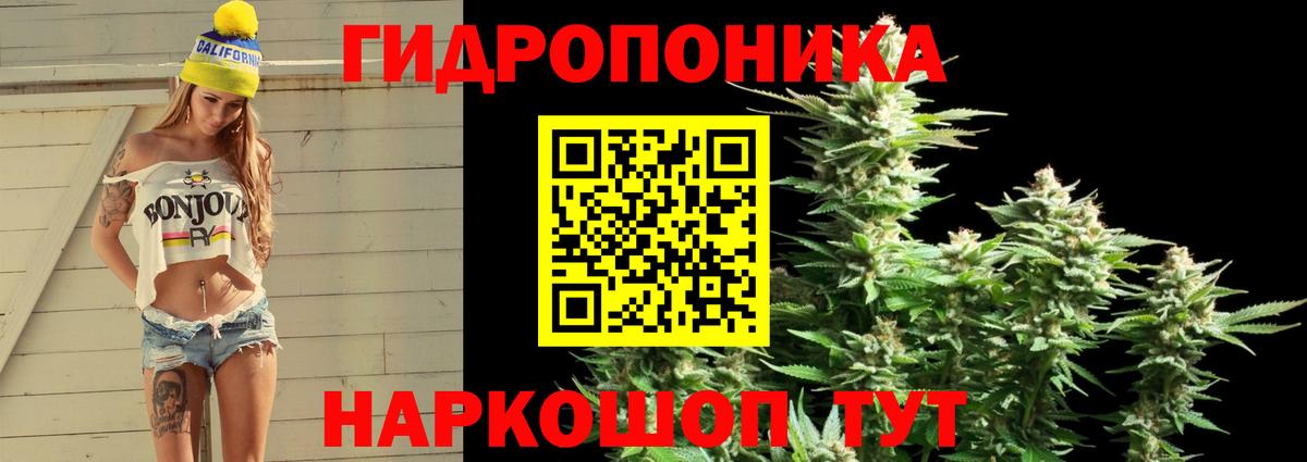 Конопля SATIVA & INDICA Сосновый Бор